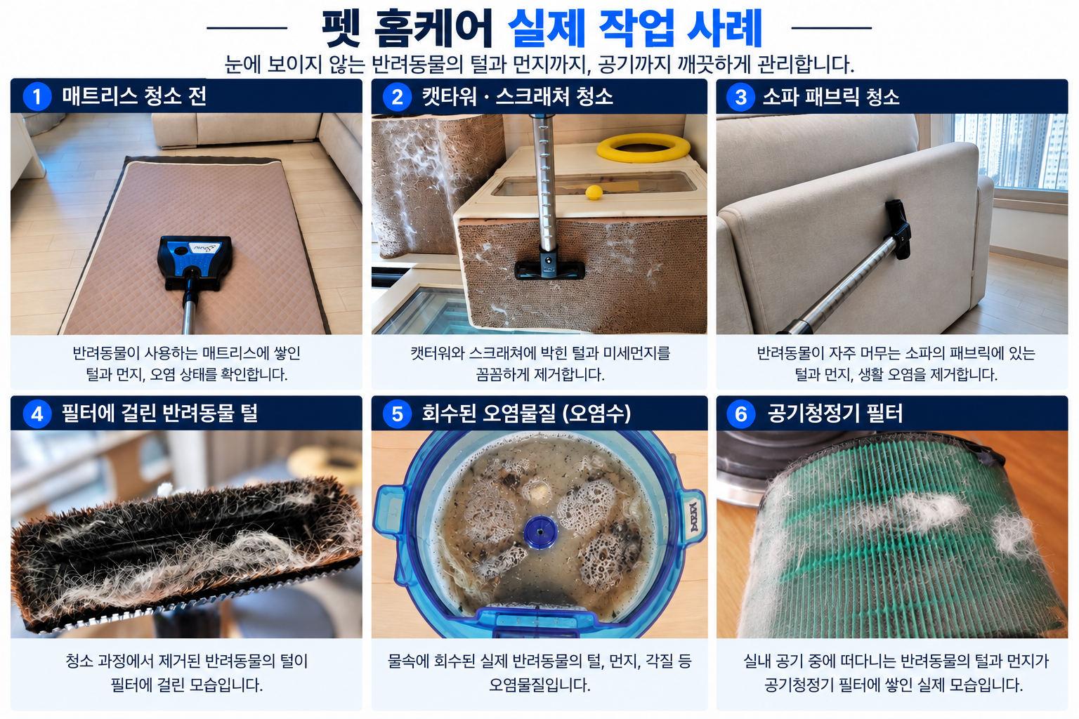 펫 홈케어 기존 현장사진